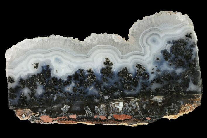 Polished Medicine Bow Agate Slab - Wyoming #152146